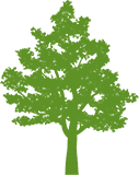 tree icon