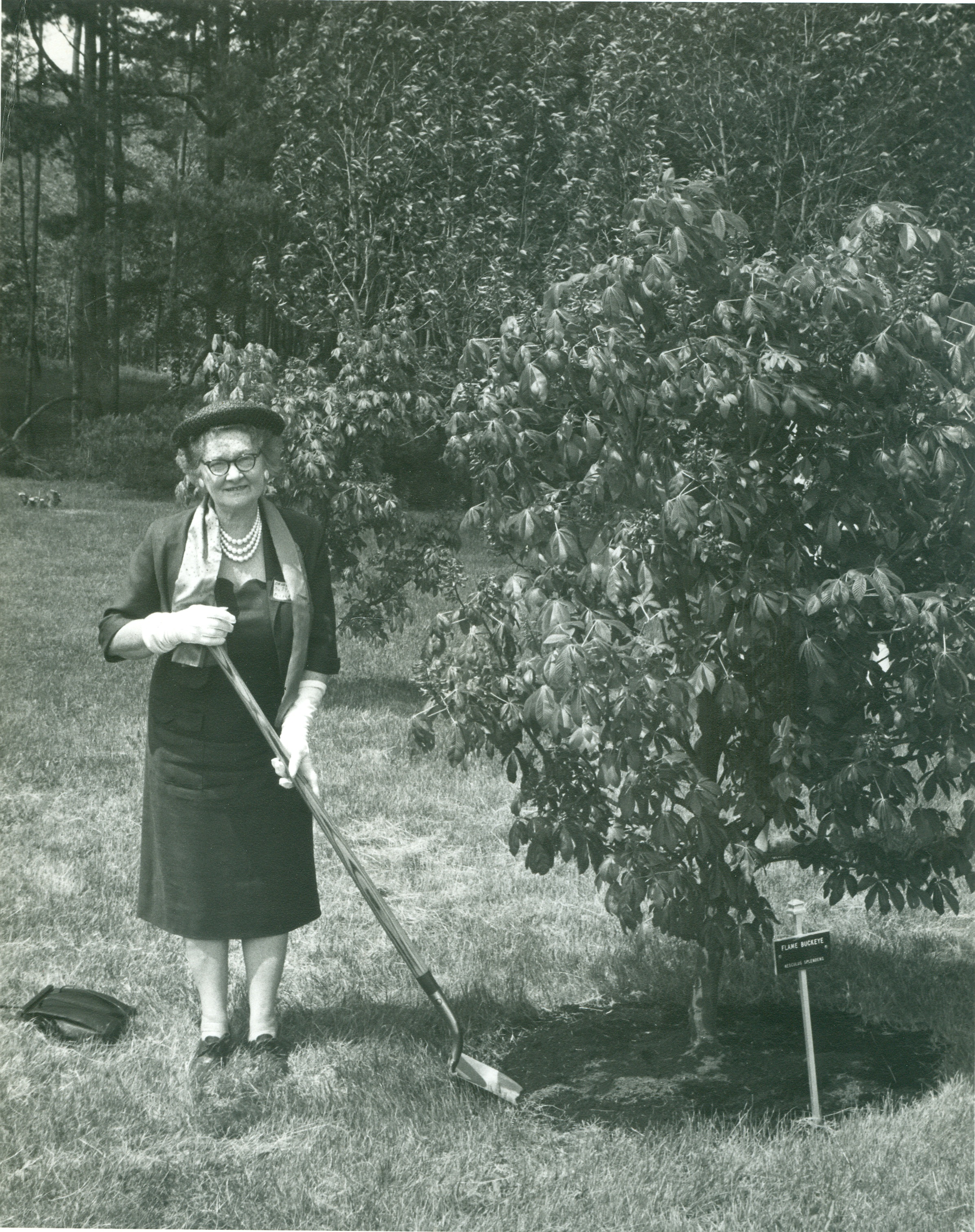 This is a black and white photo of a woman standing next to a tree, holding a shovel, and she is wearing a dress with white gloves and a pearl necklace. She's wearing a hat, black glasses and has short blonde hair.