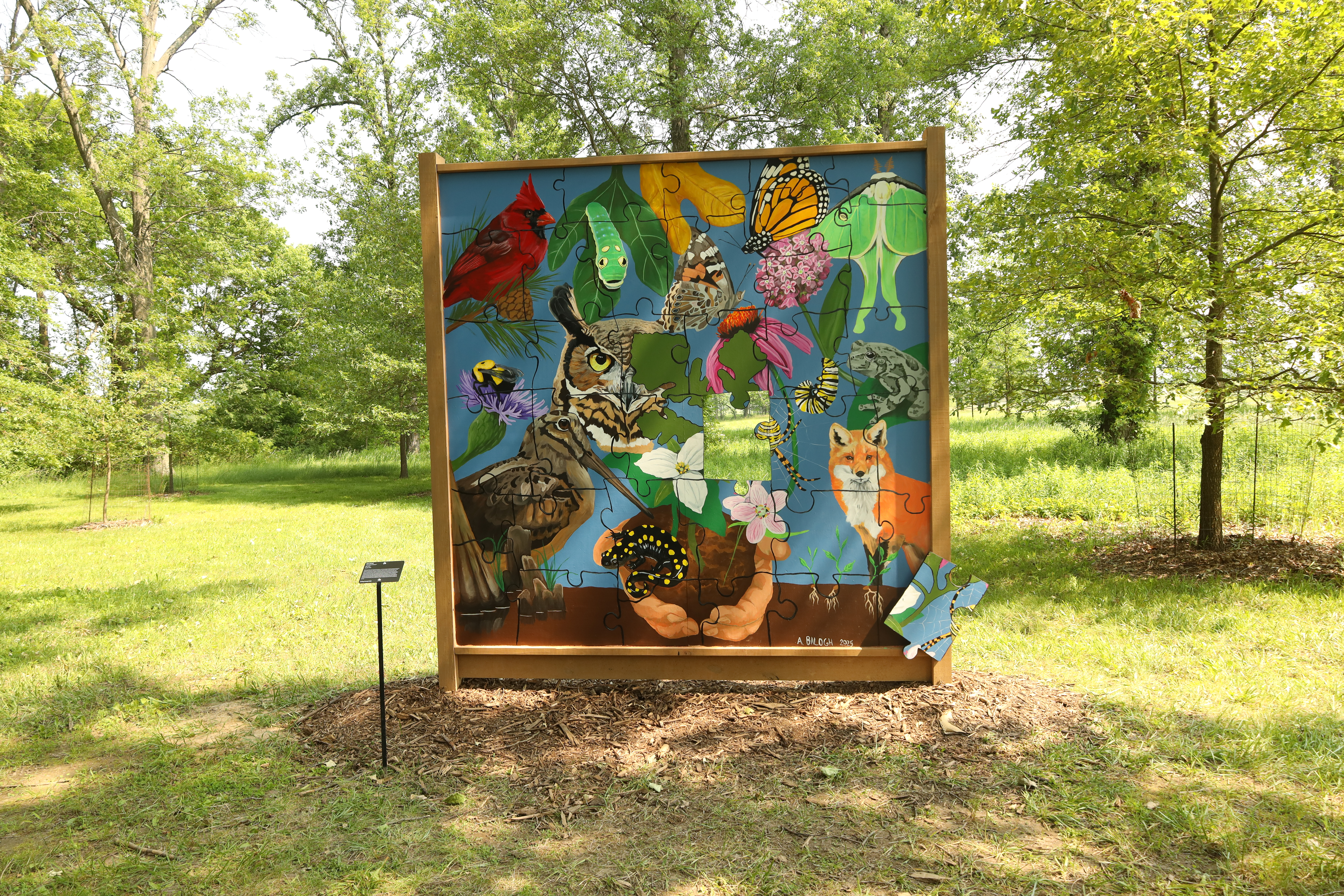 This is a mural. It features owls, insects and animals that are all around The Arboretum like owls, lunar moths, monarch butterflies, and more. The mural has a blue background. It is in the grass in The Arboretum.