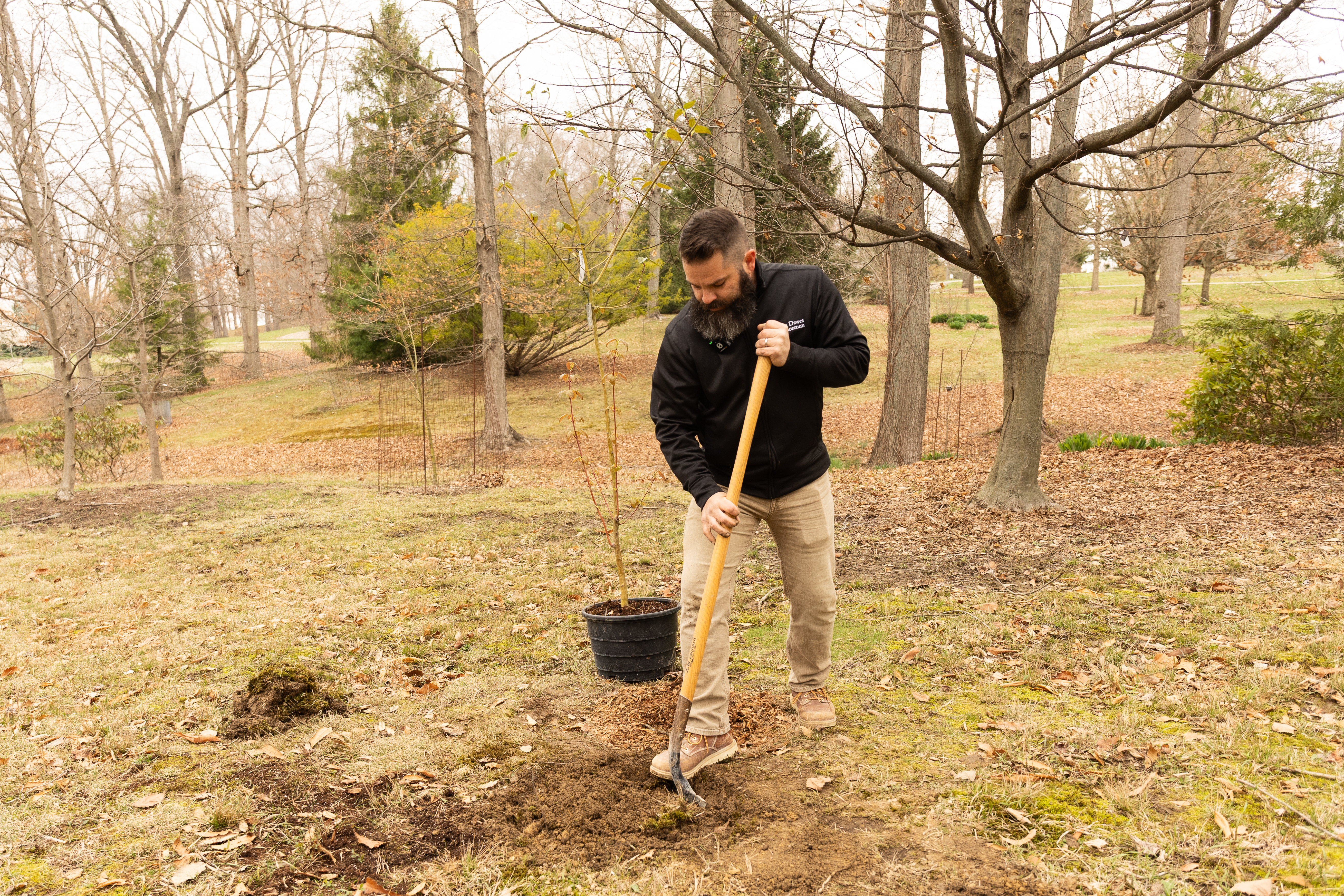 Dig Hole