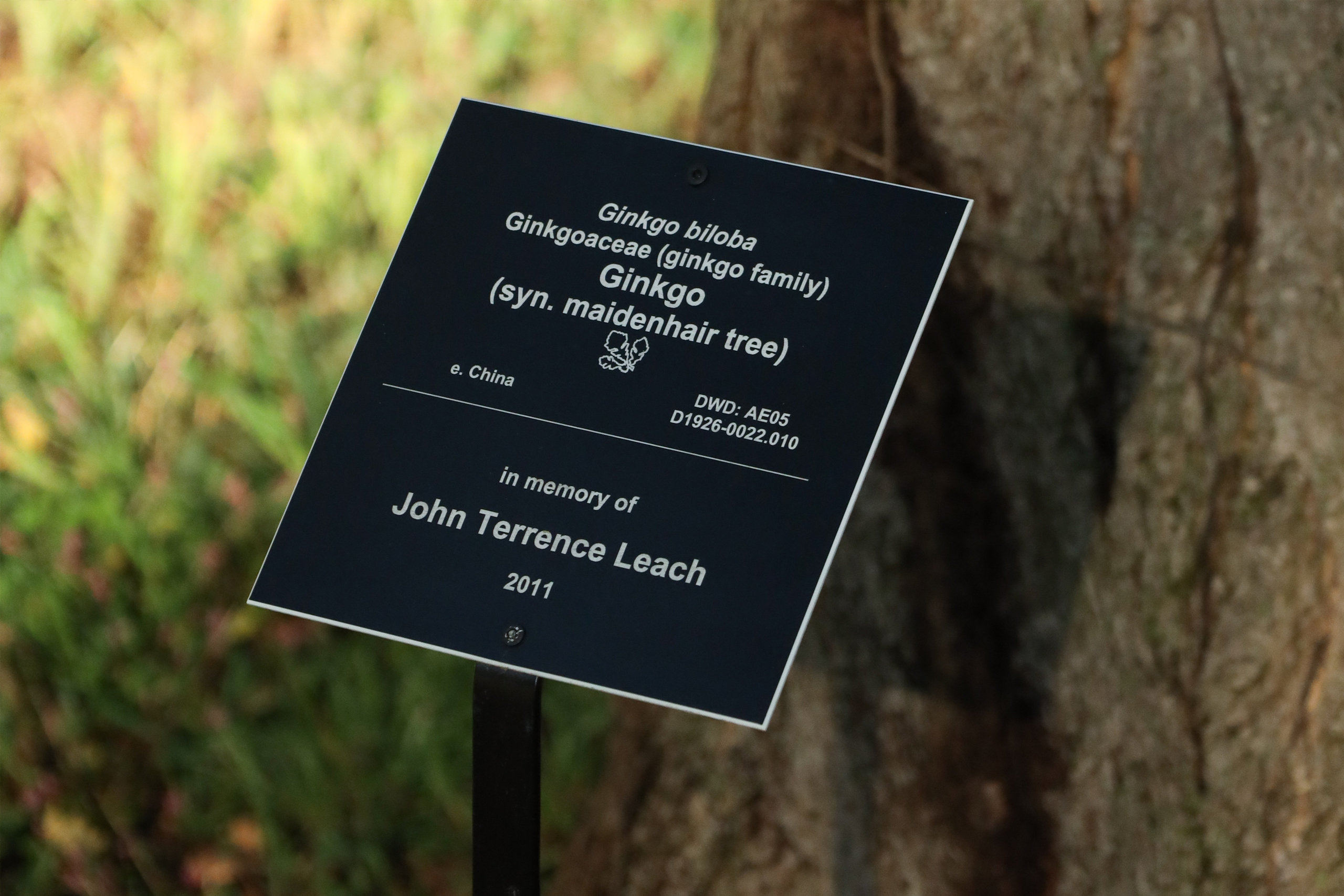 tree legacy signage