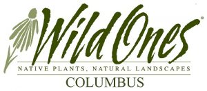 Wild Ones