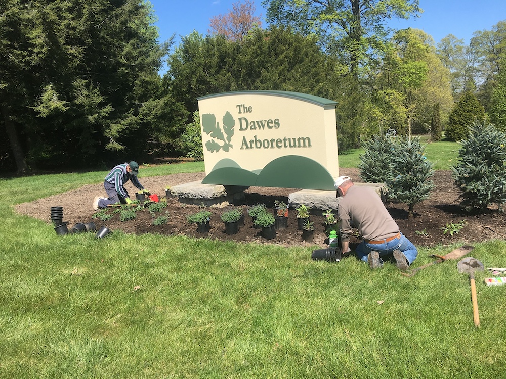 volunteers at dawes arboretum