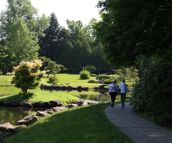 Two women walk away from the camera inside of the Japanese Garden at The Dawes Arboretum. They are surrounded by green trees, a lake and a tan bridge is in the distance. The woman on the left is wearing a white patterned shirt, blackpants and a tan hat. The woman on the right is wearing a white shirt and blue jeans. 