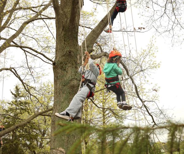 Two young kids – one with a green sweater and blue jeans and one with light sweatpants and a grey shirt climb a tree.
