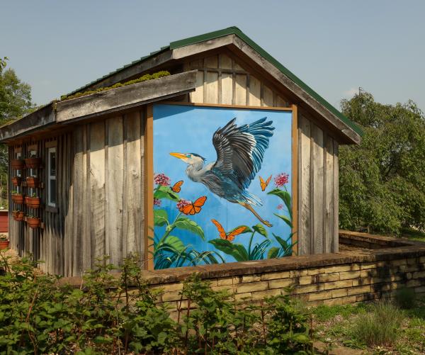 Where Nature Takes Flight