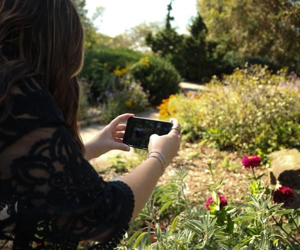 A tan person with long brown hair holds out a smartphone horizontally to take a picture of beautiful gardens for the photo contest.