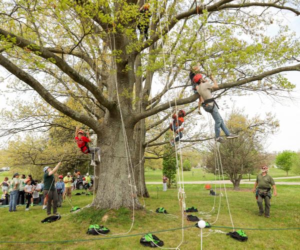 Arbor Day Festival
