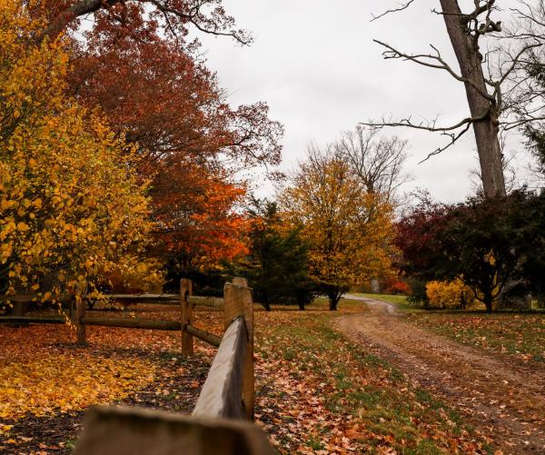 fall