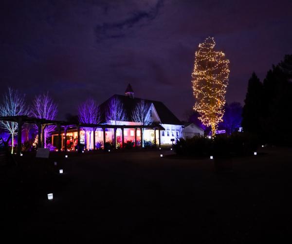 Winter Wonders Walk 2023