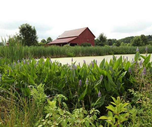barn