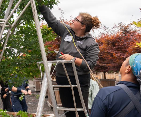 Shannon Barnette stands on a ladder and uses a gardening tool on a tree. There is a person looking up at her with a blue bandana on their head. She is wearing safety glasses with a grey sweatshirt.