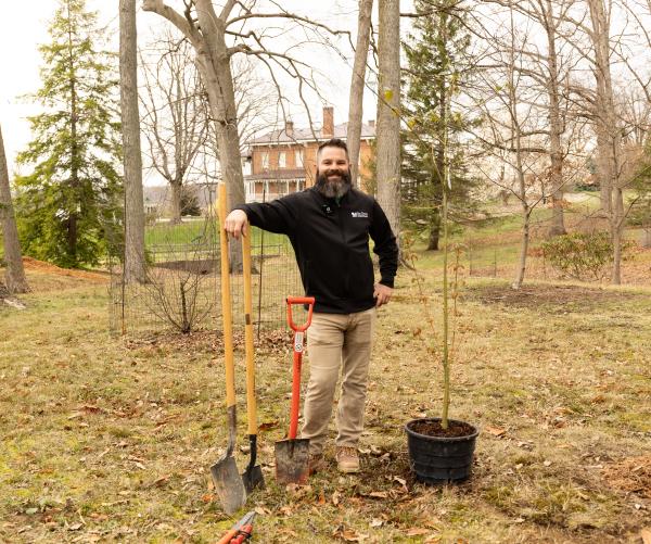Tree Planting 2