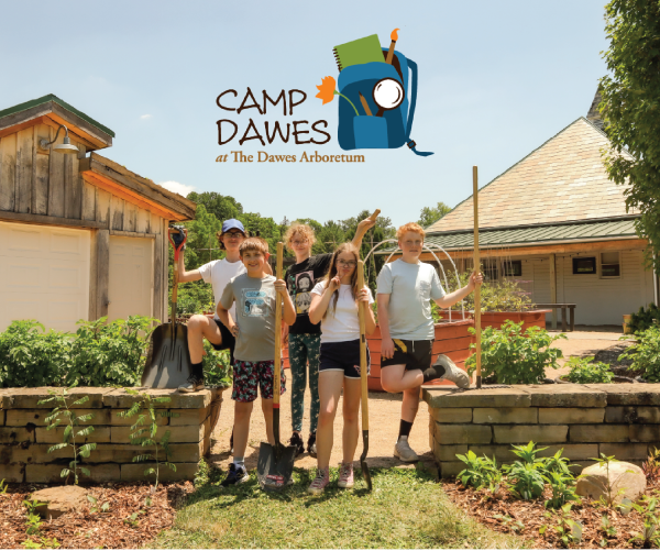 Camp Dawes