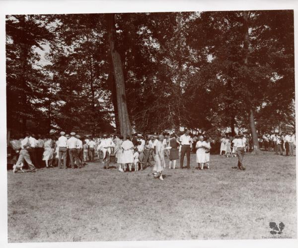 This is a historical photo of The Pure Oil Company's annual picnic. It is black and white, and shows over 100 people walking around the grounds of the farm. Surrounded by tall trees, the people are in professional clothing and talking amongst one another.