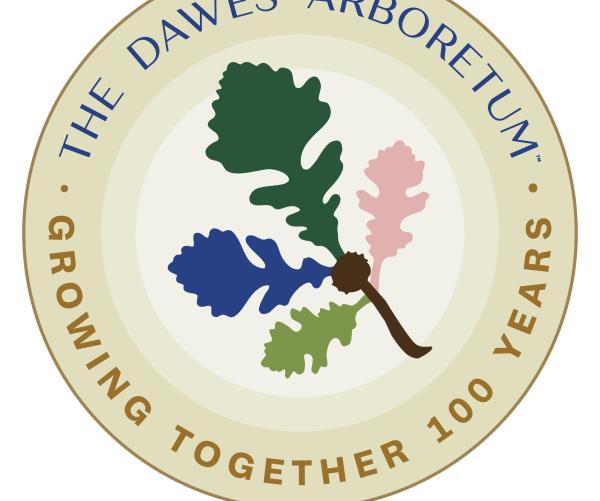 The Dawes Arboretum's new Centennial log features four leaves on the bur oak leaf: pink, green, dark blue and a darker green that all represent something special about The Arboretum. It has a tan badge surrounding it that says "The Dawes Arboretum: Growing Together 100 Years."