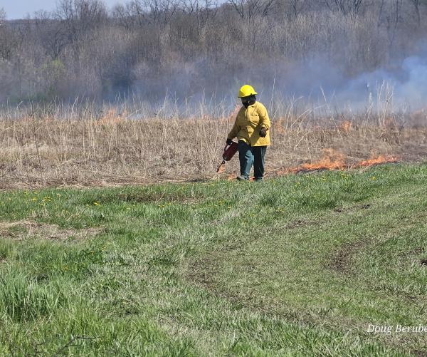 Ecosystems Manager Emma Farmer stands in a burning field in a yellow suit and a hard hat with a drip torch in hand. Emma is working on a prescribed fire.