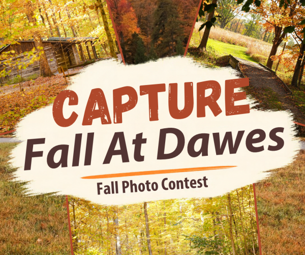 Capture fall at Dawes with our fall photo contest. This graphic is an orange theme design with fall photos in the background. 