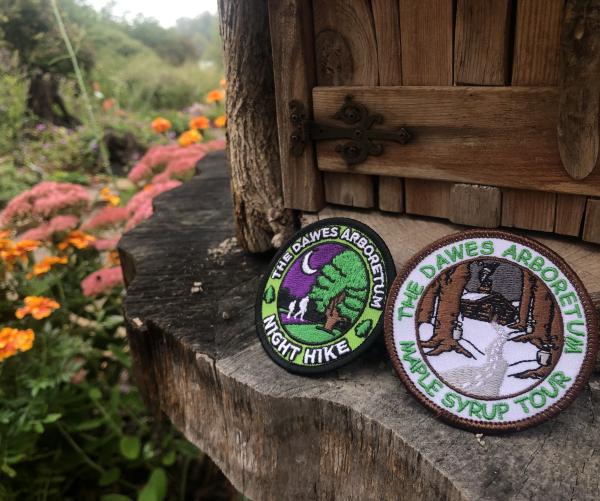 Two girl scout badges sit near the fairy house in a garden. The flowers on the left of the image are pink and yellow. The badges are for maple syrup tasting and hiking.