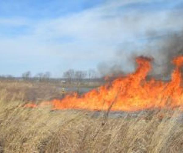 Controlled Burn