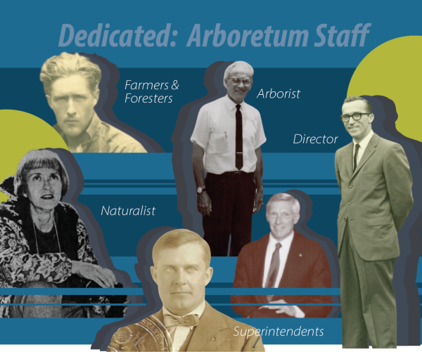 Dedicated History Center Blog Cover 