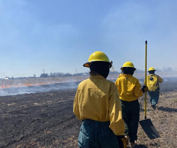 prescribed burns