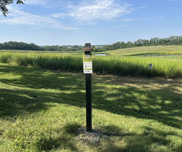 Rolling Hills Meadow Wetland Chronolog