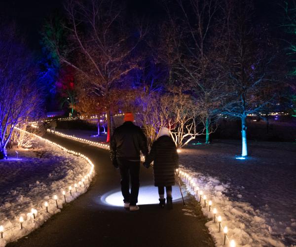 Two individuals hold hands and walk along the lit Parkwoods Trail at The Dawes Arboretum. The trees are uplit with warm colors like read and purple, as well as yellow lights that are lining the paved pathway.