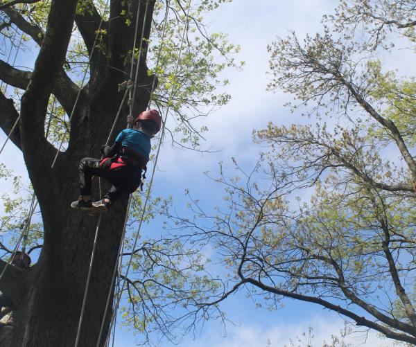 Kid repelling