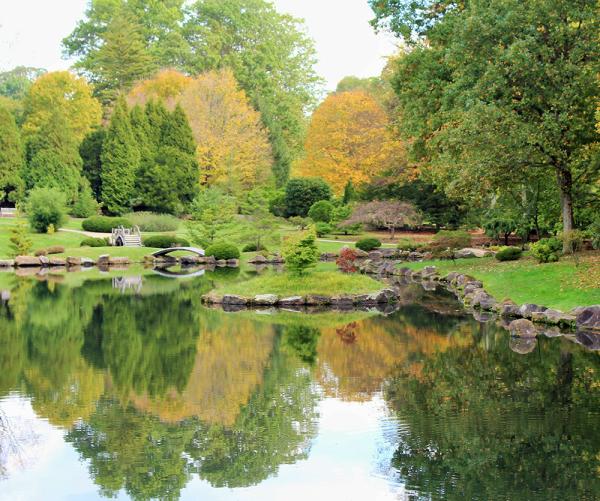 Japanese Garden