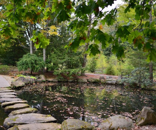 Japanese Garden