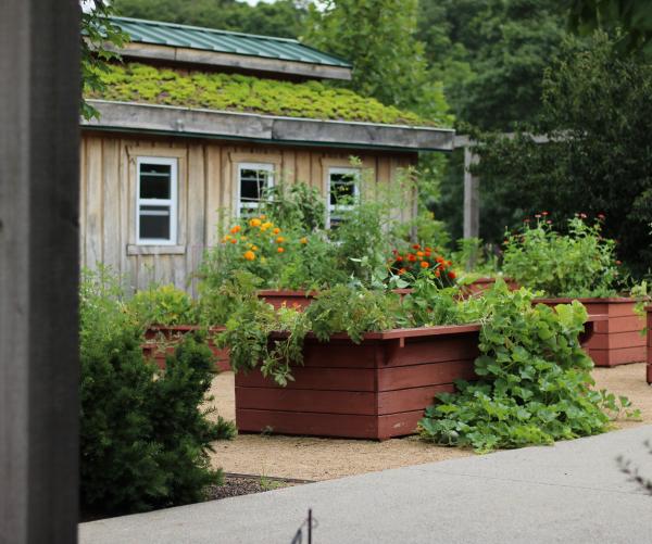 This is a high-resolution photograph of the Learning Garden at The Dawes Arboretum. It is full of raised beds with lush greenery decorated with orange, yellow or pink flowers.