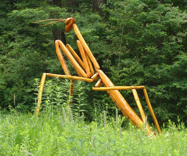Praying Mantis