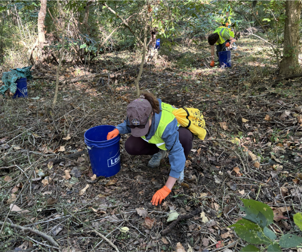 Trash Cleanup