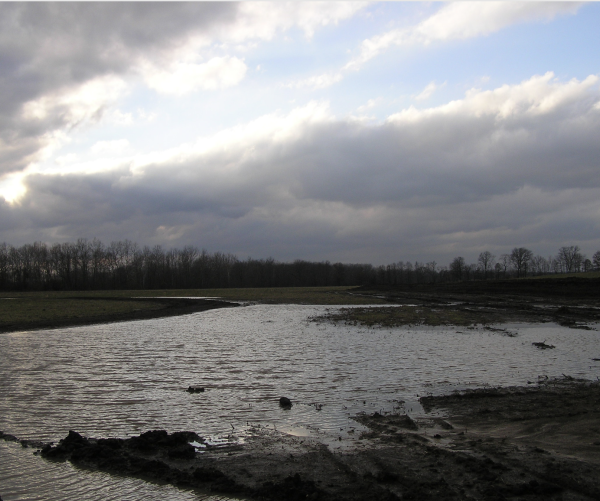 wetlands