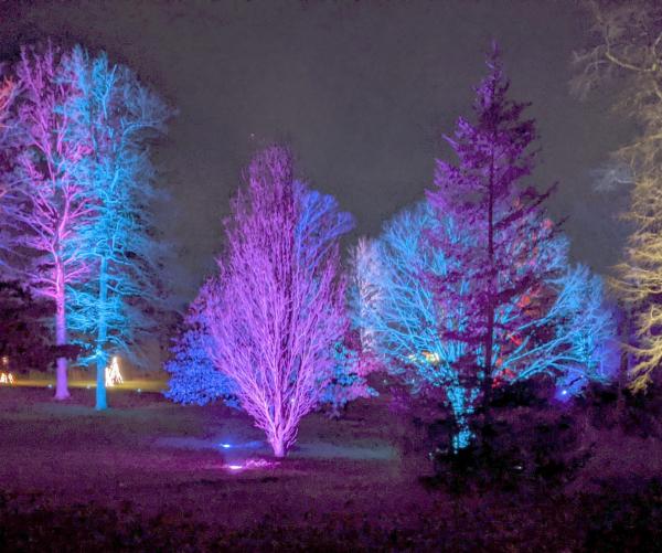 Winter Wonders