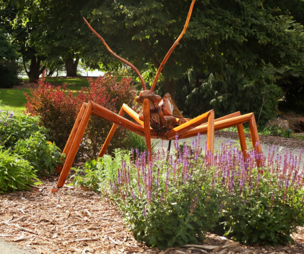 Assassin Bug