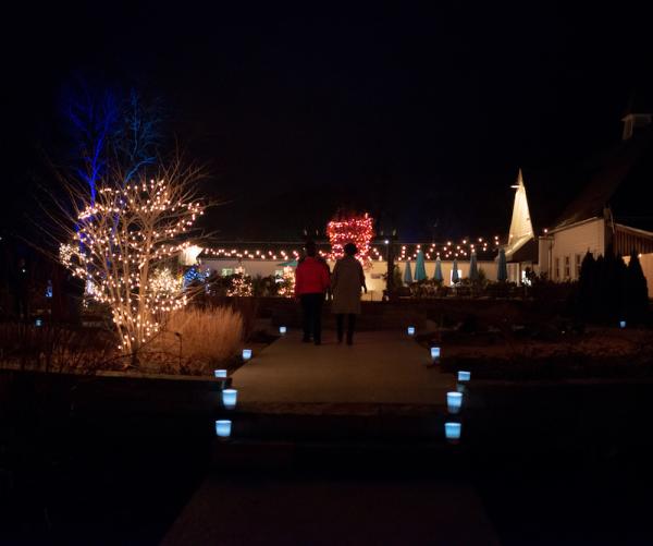 winterwalk