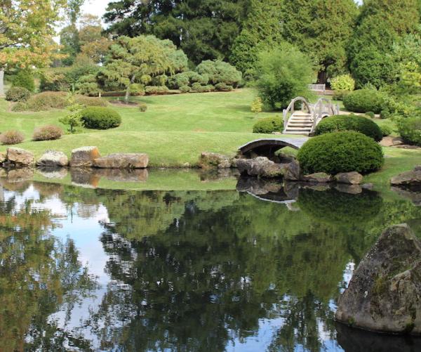 Japanese Garden