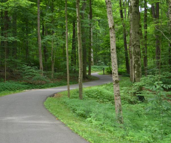 lake connector trail