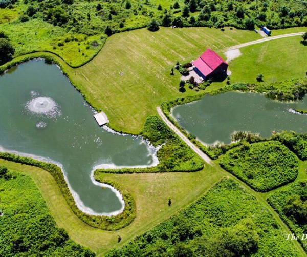 Red Barn Aerial