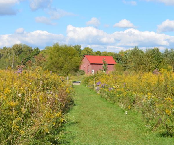 red barn in fall
