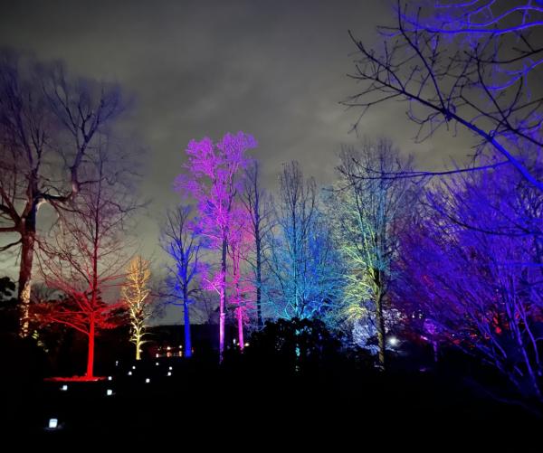Winter Wonders Walk 2022