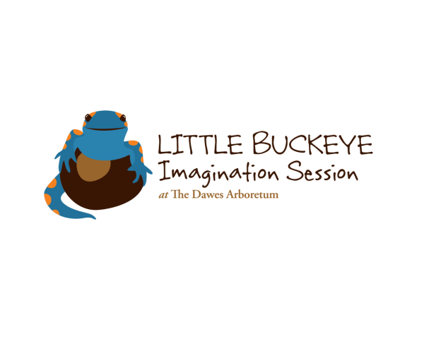 Little Buckeye Logo