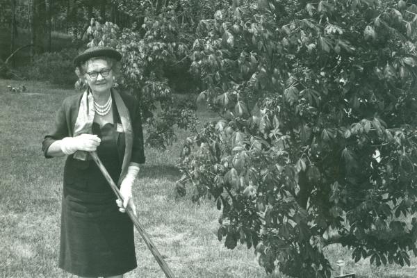 A fair-skinned woman wearing a black dress, white pearls and gloves and a hit stands with a shovel next to a tree.