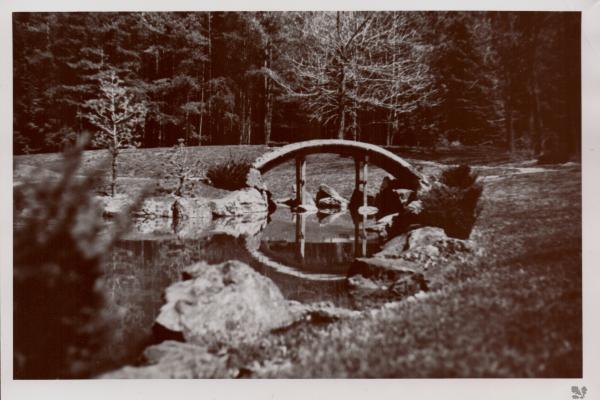 This is a black-and-white photo of the stone bridge at the Japanese Garden with trees and grass surrounding it.