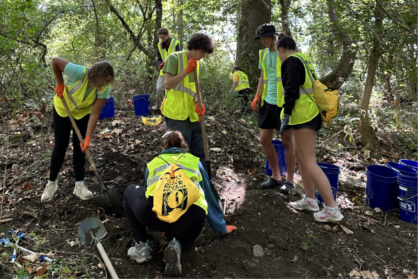 Trash Cleanup