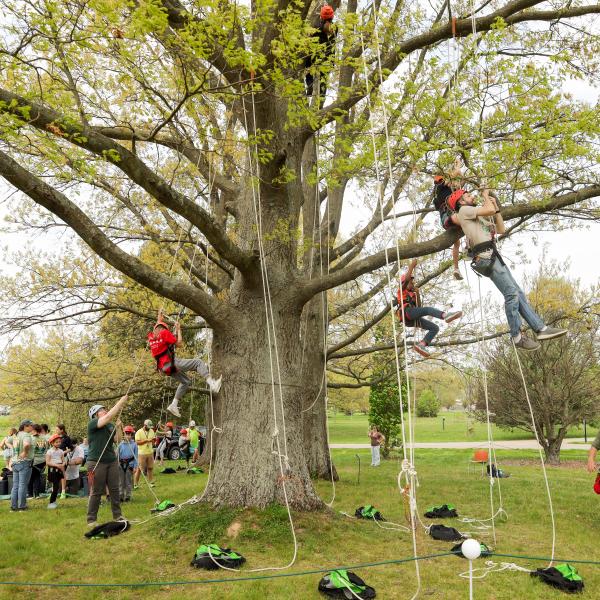 Arbor Day Festival