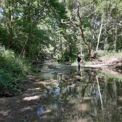A person wearing long brown boots, tan shorts and a black sweatshirt stands in the middle of a stream. The stream is brown and has reflections of the green leaves and brown branches that are above it. 