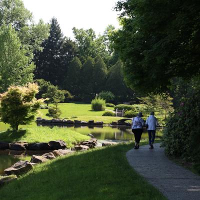 Two women walk away from the camera inside of the Japanese Garden at The Dawes Arboretum. They are surrounded by green trees, a lake and a tan bridge is in the distance. The woman on the left is wearing a white patterned shirt, blackpants and a tan hat. The woman on the right is wearing a white shirt and blue jeans. 